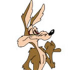 Wilecoyote